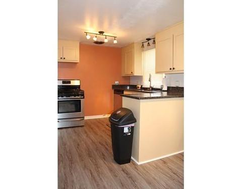 16 Winding Ln, Springfield, MA 01118 photo 15