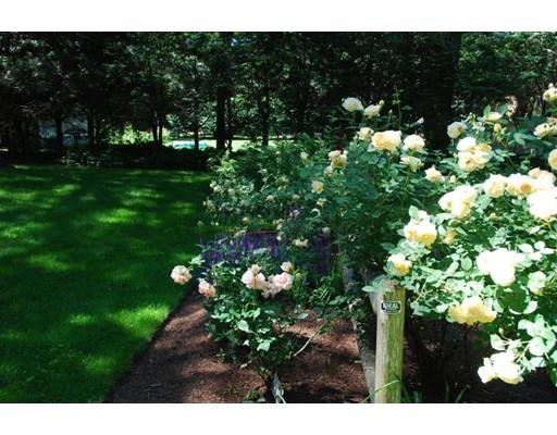 17 Meadowbrook Rd, Needham, MA 02492 photo 30