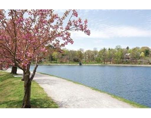30 Catlin Rd, Brookline, MA 02445 photo 12