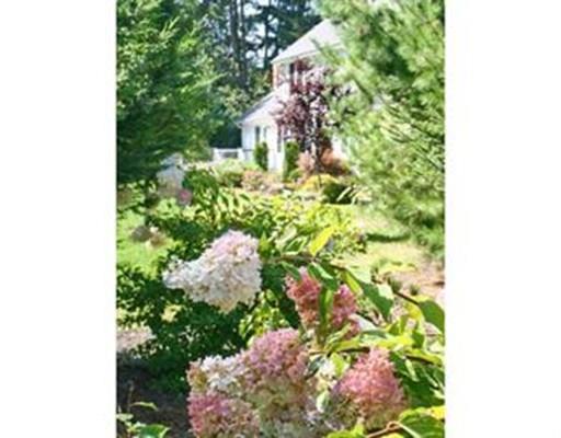 10 Rose Rd, Millis, MA 02054 photo 15