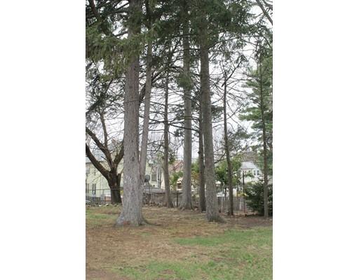 36 Norman St, Springfield, MA 01104 photo 21