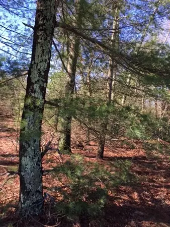 36 Lot 1 King Philip, Raynham, MA 02767 photo 3