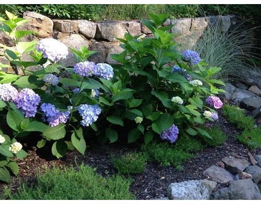 110 Thatcher Rd, Gloucester, MA 01930 photo 23