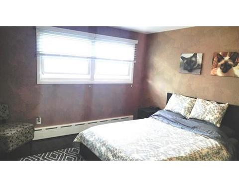 55 Benz St, Springfield, MA 01118 photo 10