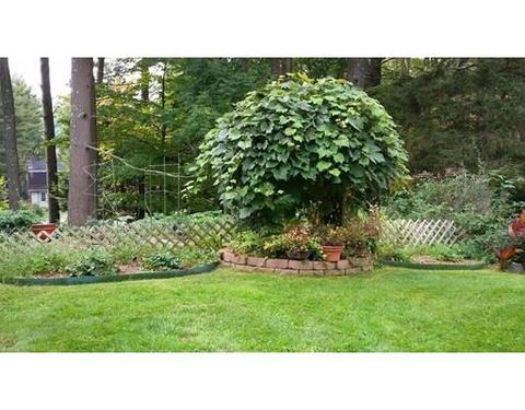 4 Pinecrest Cir, Ware, MA 01082 photo 7