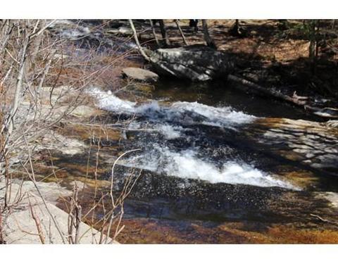 1255 Williamsburg Rd, Ashfield, MA 01330 photo 25