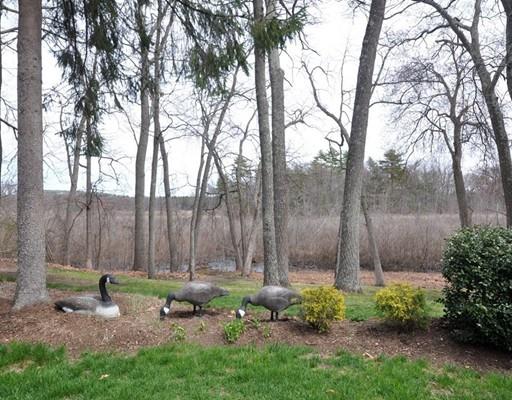 50 Wright Rd, Concord, MA 01742 photo 23