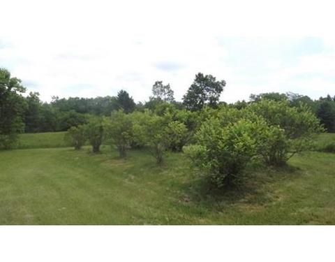 1124 Bancroft Rd, Becket, MA 01223 photo 11