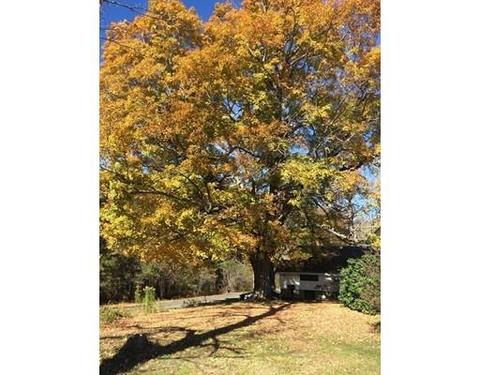 1124 Bancroft Rd, Becket, MA 01223 photo 7