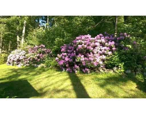 219 E Central St, Natick, MA 01760 photo 17