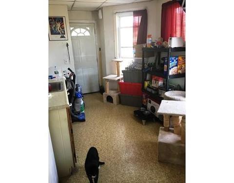 3 Bourne St, Worcester, MA 01604 photo 11