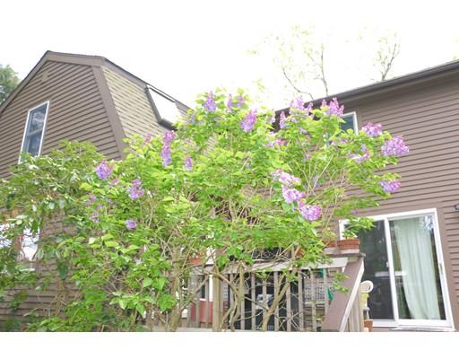 8 Back Bay Ct, Reading, MA 01867 photo 28