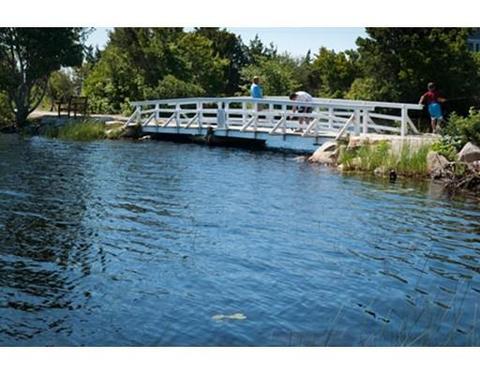 21 Menemsha Rd, Mashpee, MA 02649 photo 27