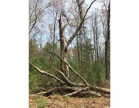 1 Old Poor Farm Rd, Ware, MA 01082 photo 8