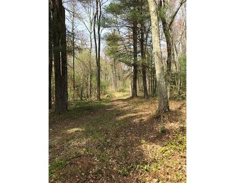 1 Old Poor Farm Rd, Ware, MA 01082 photo 4