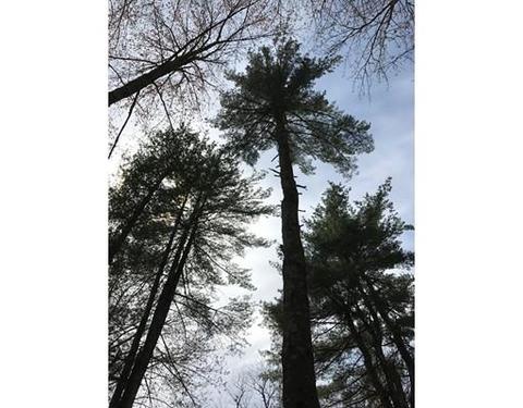 1 Old Poor Farm Rd, Ware, MA 01082 photo 11