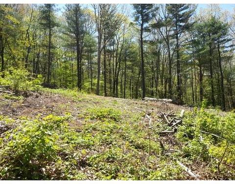 172 Mendon Rd, Sutton, MA 01590 photo 3