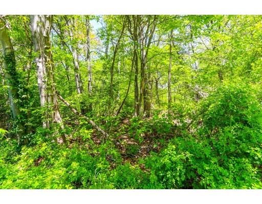 93 Alden St, Dedham, MA 02026 photo 5