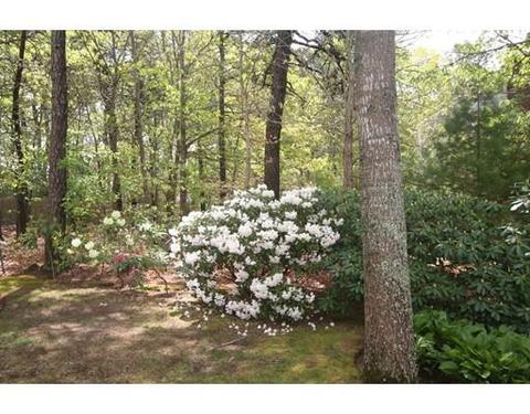 1387 Old Post Rd, Barnstable, MA 02648 photo 5