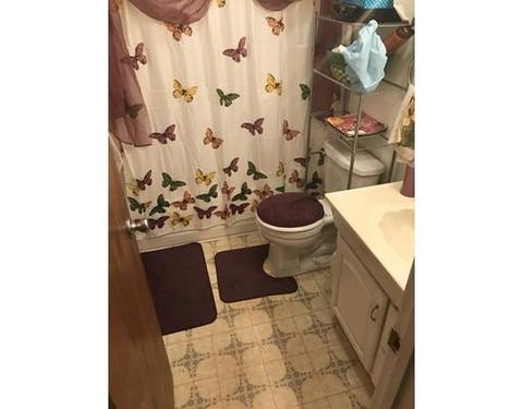 64 Tyler St, Springfield, MA 01109 photo 4