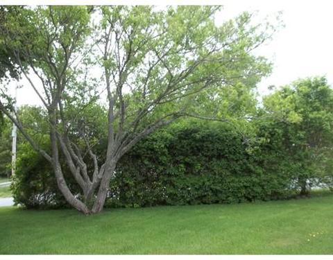 68 Bay, Fairhaven, MA 02719 photo 18