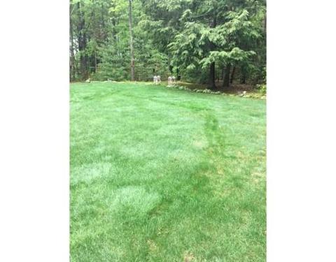 25 Pine Hill Rd, Easthampton, MA 01027 photo 23
