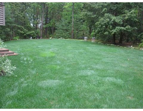 25 Pine Hill Rd, Easthampton, MA 01027 photo 25