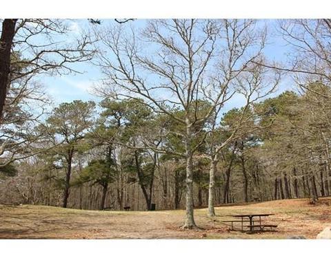 287 Hooppole Rd, Mashpee, MA 02649 photo 28