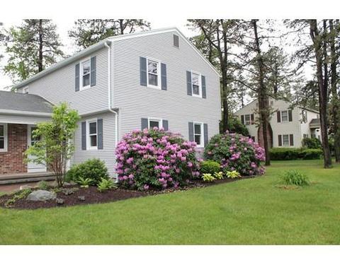 955 Maple Rd, Longmeadow, MA 01106 photo 3
