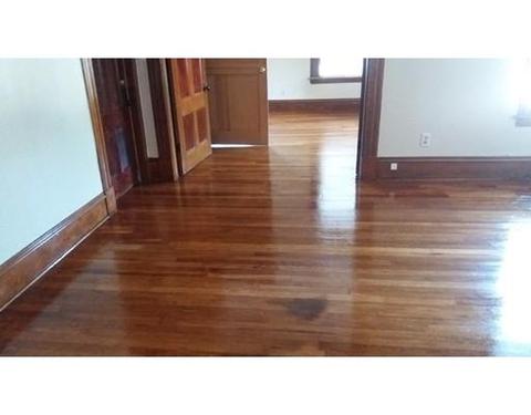 24 Merrick Ave, Springfield, MA 01109 photo 16