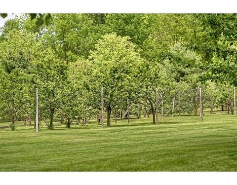 159 Millville Rd, Mendon, MA 01756 photo 26