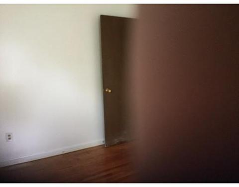 45 Leatherleaf Dr, Springfield, MA 01109 photo 7