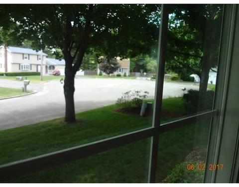 81 Calley St, Springfield, MA 01129 photo 25