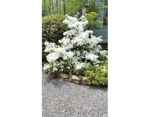 55 Bailey Ln, Georgetown, MA 01833 photo 27