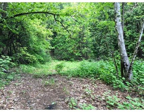 517 Harvard Ave, Athol, MA 01331 photo 14