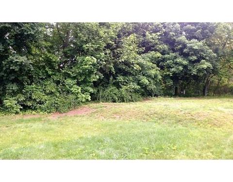 54 Brighton, Springfield, MA 01118 photo 27