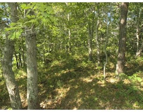 35 Quaker Run, Mashpee, MA 02649 photo 1