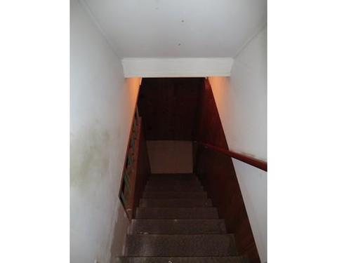 12 Ogden St, Springfield, MA 01151 photo 13