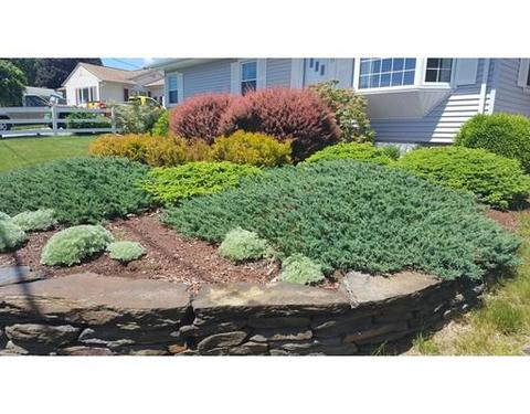 94 Cobb Ave, Chicopee, MA 01013 photo 2