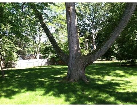 205 Emerson, Springfield, MA 01118 photo 18