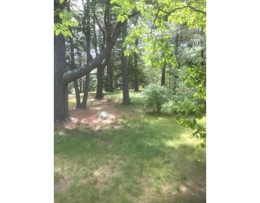 234 Needham St, Dedham, MA 02026 photo 2