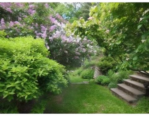 18 Cedar Hill Rd, Dover, MA 02030 photo 8