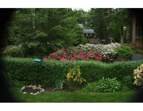 129 Baker St, Walpole, MA 02081 photo 15