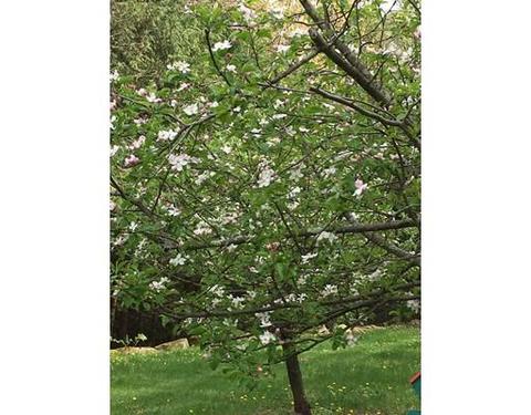 25 E Bare Hill Rd, Harvard, MA 01451 photo 20