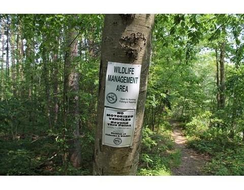 230 W Sutton Rd, Sutton, MA 01590 photo 27