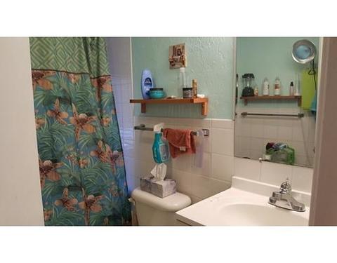 46 Adams Ave, Everett, MA 02149 photo 17