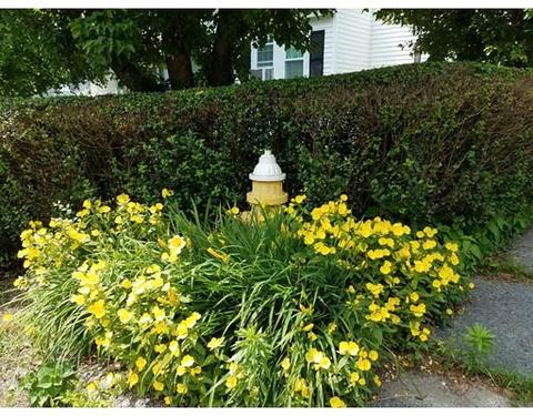 34 Harold St, Worcester, MA 01604 photo 8