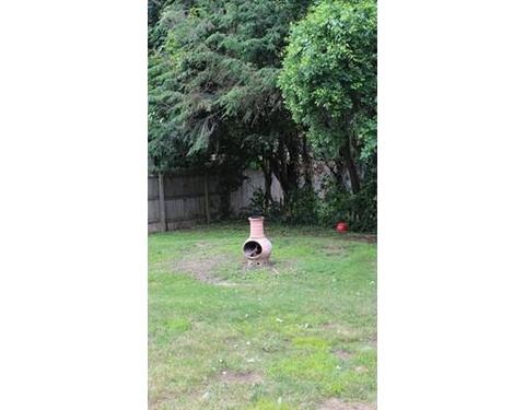66 Powell Ave, Springfield, MA 01118 photo 16