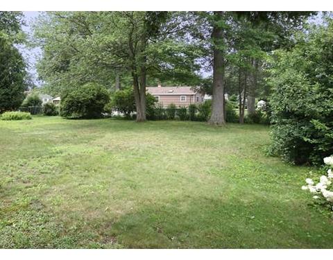 100 Louis Rd, Springfield, MA 01118 photo 3