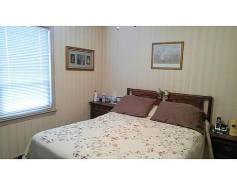 73 Derryfield, Springfield, MA 01118 photo 6